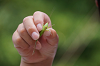 camp30 (263)_thumb.png